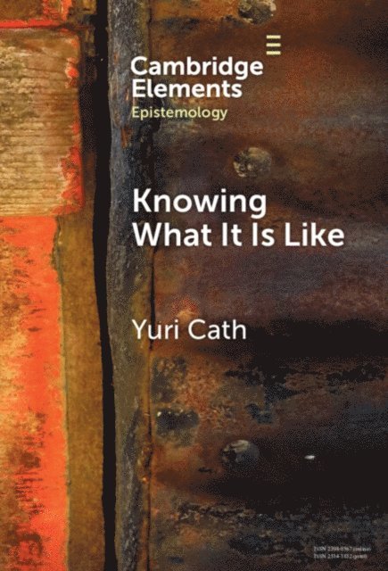 Yuri Cath - Knowing What It Is Like, E-bok