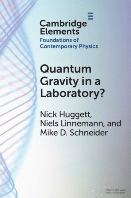 Mike D. Schneider, Niels Linnemann, Nick Huggett - Quantum Gravity in a Laboratory?, E-bok
