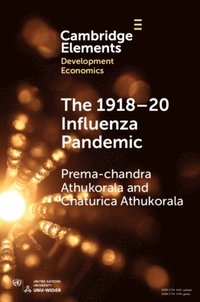 1918-20 Influenza Pandemic