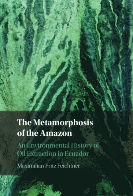Metamorphosis of the Amazon