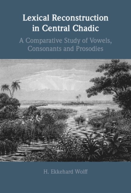 H. Ekkehard Wolff - Lexical Reconstruction in Central Chadic, E-bok