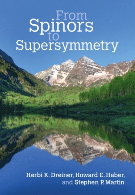 Stephen P. Martin, Howard E. Haber, Herbi K. Dreiner - From Spinors to Supersymmetry, E-bok