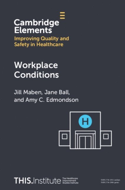 Amy C. Edmondson, Jane Ball, Jill Maben - Workplace Conditions, E-bok