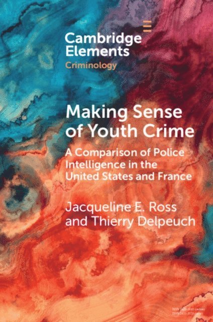 Thierry Delpeuch, Jacqueline E. Ross - Making Sense of Youth Crime, E-bok