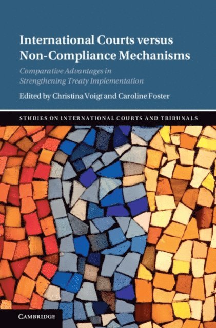 Caroline Foster, Christina Voigt - International Courts versus Non-Compliance Mechanisms, E-bok