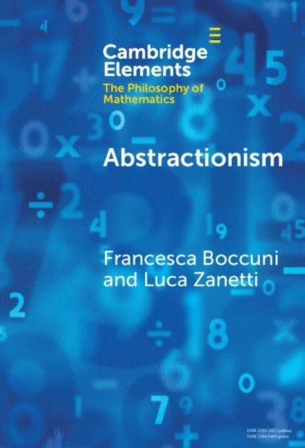 Luca Zanetti, Francesca Boccuni - Abstractionism, E-bok