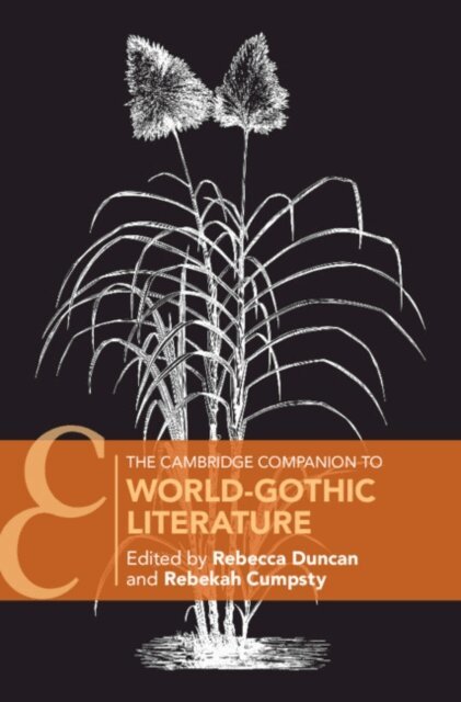 Rebekah Cumpsty, Rebecca Duncan - Cambridge Companion to World-Gothic Literature, E-bok