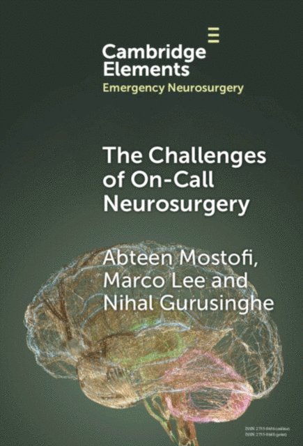 Nihal Gurusinghe, Marco Lee, Abteen Mostofi - Challenges of On-Call Neurosurgery, E-bok