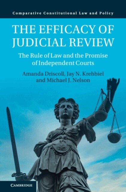 Michael J. Nelson, Jay N. Krehbiel, Amanda Driscoll - Efficacy of Judicial Review, E-bok