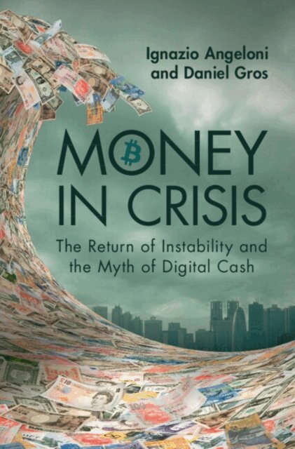 Daniel Gros, Ignazio Angeloni - Money In Crisis, E-bok