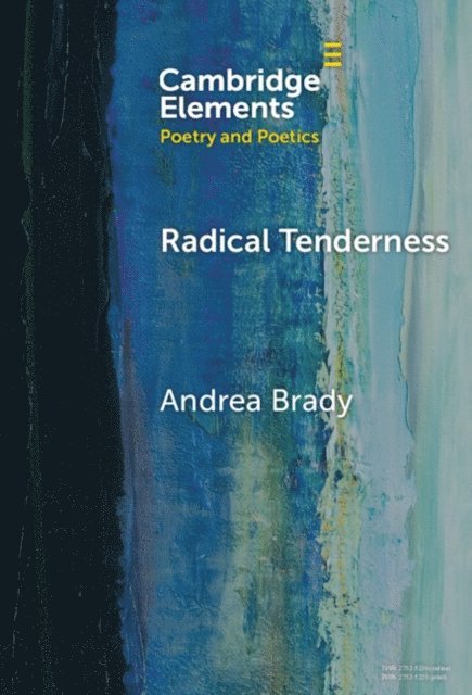 Andrea Brady - Radical Tenderness, E-bok
