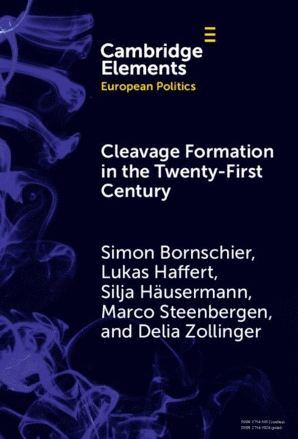 Delia Zollinger, Marco Steenbergen, Silja Hausermann, Lukas Haffert, Simon Bornschier - Cleavage Formation in the 21st Century, E-bok