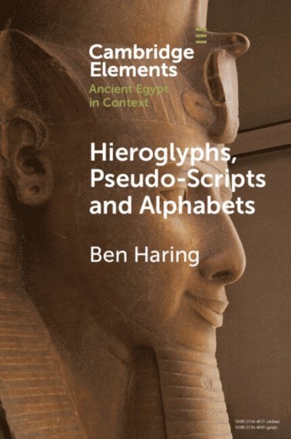 Ben Haring - Hieroglyphs, Pseudo-Scripts and Alphabets, E-bok
