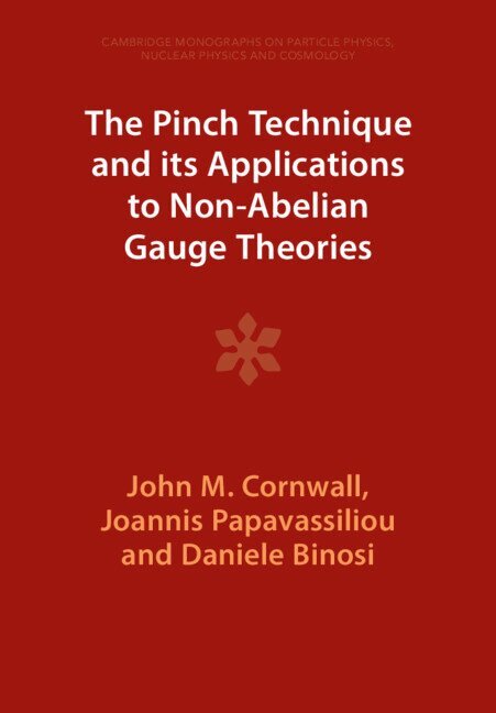 John M. Cornwall, Joannis Papavassiliou, Daniele Binosi - The Pinch Technique and its Applications to Non-Abelian Gauge Theories, Häftad