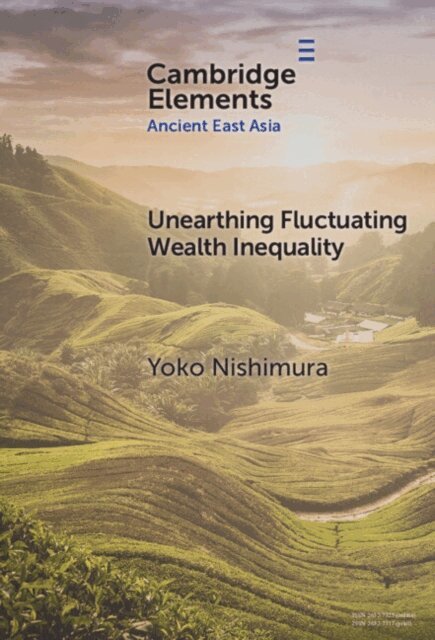 Yoko Nishimura - Unearthing Fluctuating Wealth Inequality, E-bok
