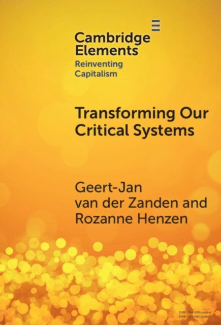 Rozanne Henzen, Gerardus van der Zanden - Transforming our Critical Systems, E-bok