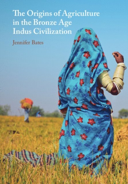 Jennifer Bates - Origins of Agriculture in the Bronze Age Indus Civilization, E-bok