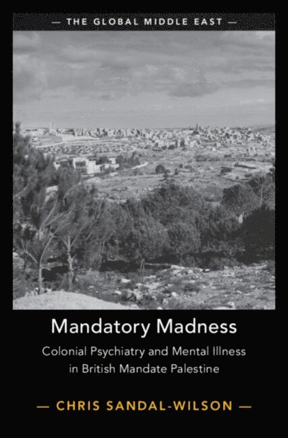 Chris Sandal-Wilson - Mandatory Madness, E-bok