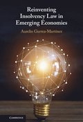 Reinventing Insolvency Law in Emerging Economies