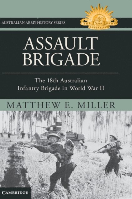 Matthew Miller - Assault Brigade, E-bok