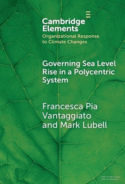 Mark Lubell, Francesca Pia Vantaggiato - Governing Sea Level Rise in a Polycentric System, E-bok
