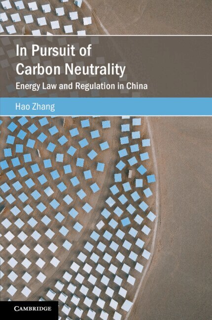 Hao Zhang - In Pursuit of Carbon Neutrality, Häftad