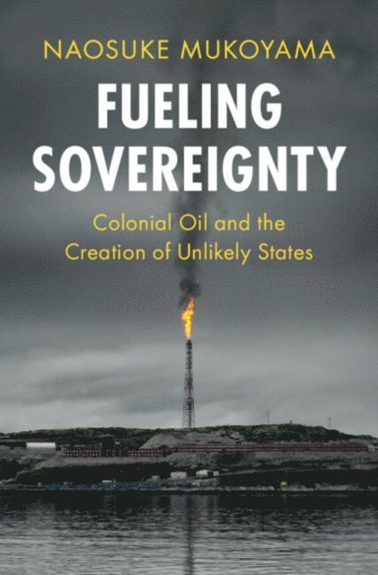 Naosuke Mukoyama - Fueling Sovereignty, E-bok