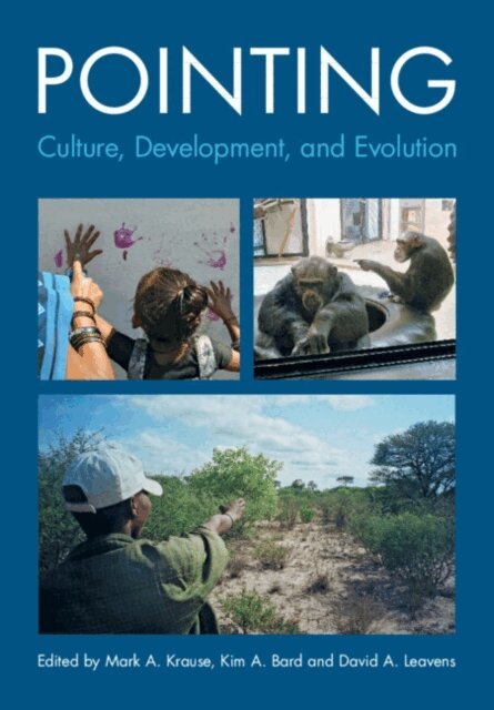 David A. Leavens, Kim A. Bard, Mark A. Krause - Pointing, E-bok