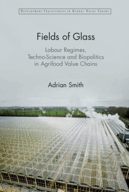 Adrian Smith - Fields of Glass, E-bok