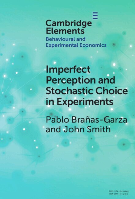 Pablo Brañas-Garza, John Alan Smith - Imperfect Perception and Stochastic Choice in Experiments, Inbunden