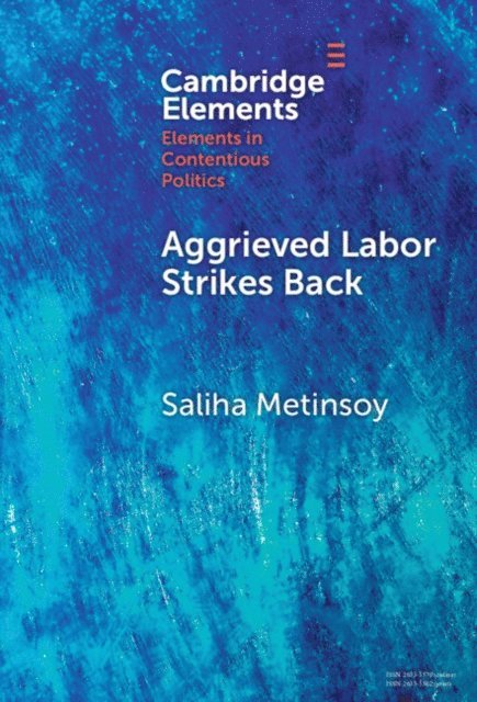 Saliha Metinsoy - Aggrieved Labor Strikes Back, E-bok