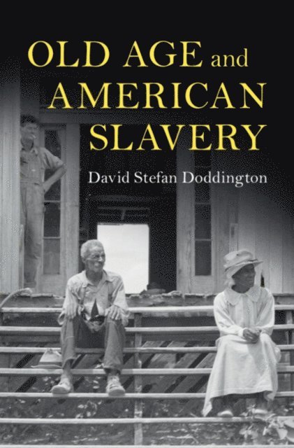 David Stefan Doddington - Old Age and American Slavery, E-bok