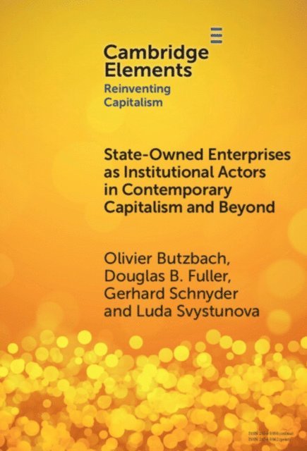 Luda Svystunova, Gerhard Schnyder, Douglas B. Fuller, Olivier Butzbach - State-Owned Enterprises as Institutional Actors in Contemporary Capitalism and Beyond, E-bok