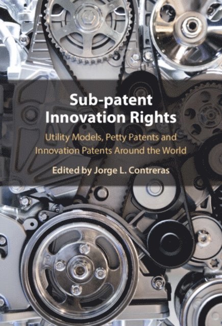 Jorge L. Contreras - Sub-patent Innovation Rights, E-bok