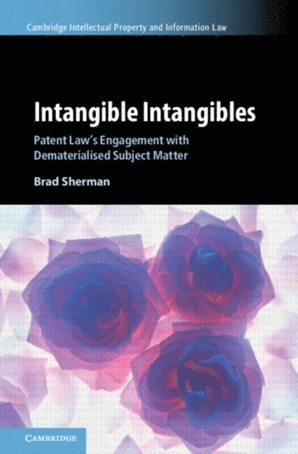 Brad Sherman - Intangible Intangibles, E-bok