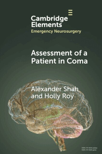 Holly Roy, Alexander Shah - Assessment of a Patient in Coma, E-bok