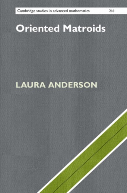 Laura Anderson - Oriented Matroids, E-bok