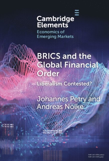 Andreas Nolke, Johannes Petry - BRICS and the Global Financial Order, E-bok