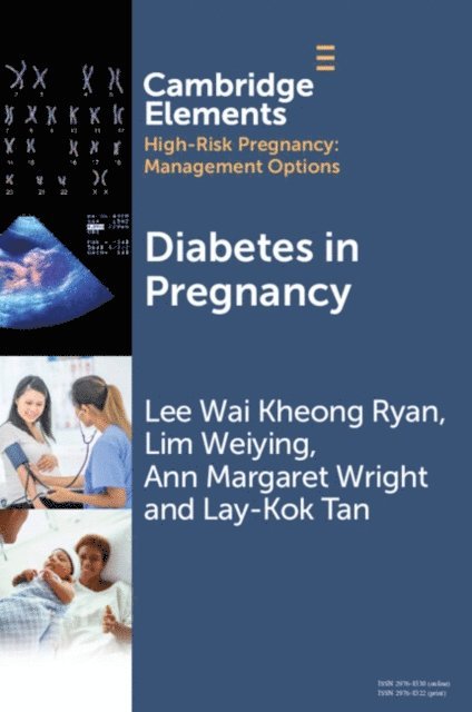 Lay-Kok Tan, Ann Margaret Wright, Lim Weiying, Lee Wai Kheong Ryan - Diabetes in Pregnancy, E-bok