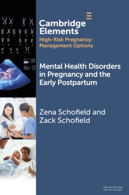 Zack Schofield, Zena Schofield - Mental Health Disorders in Pregnancy and the Early Postpartum, E-bok