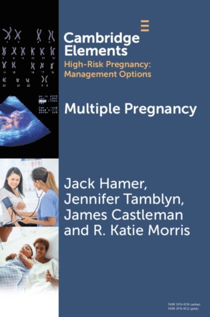 R. Katie Morris, James Castleman, Jennifer Tamblyn, Jack Hamer - Multiple Pregnancy, E-bok