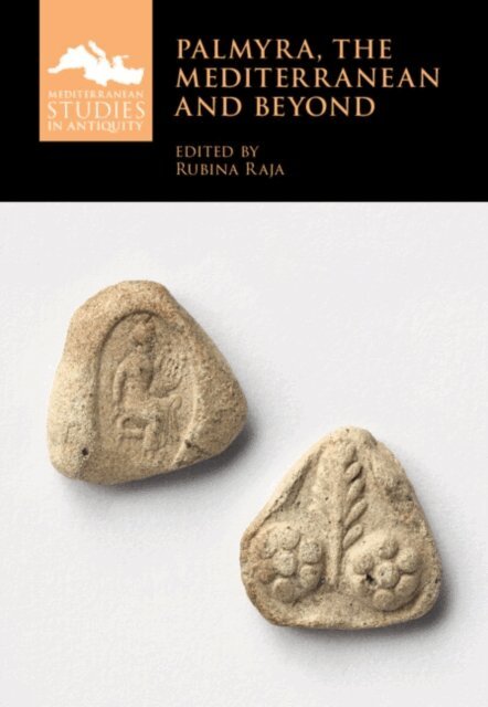 Rubina Raja - Palmyra, the Mediterranean and Beyond, E-bok