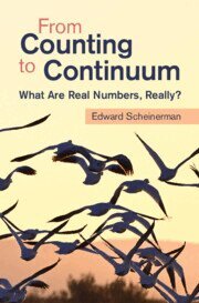 Edward Scheinerman - From Counting to Continuum, Inbunden