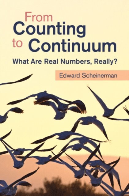 Edward Scheinerman - From Counting to Continuum, E-bok