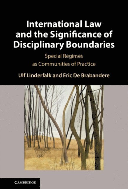 Eric De Brabandere, Ulf Linderfalk - International Law and the Significance of Disciplinary Boundaries, E-bok