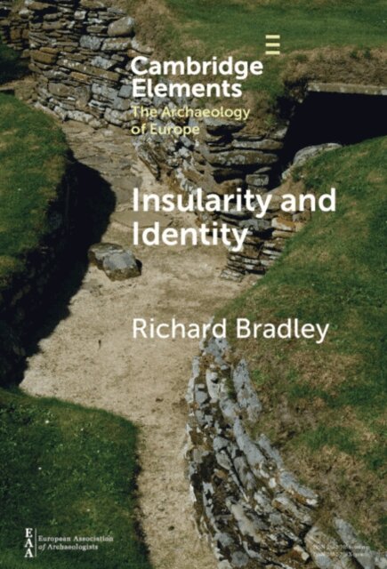 Richard Bradley - Insularity and Identity, E-bok