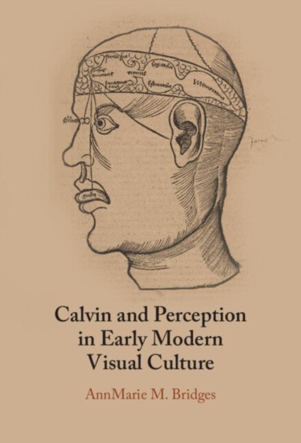 AnnMarie M. Bridges - Calvin and Perception in Early Modern Visual Culture, E-bok. Tillgänglighet: Lägg i varukorg