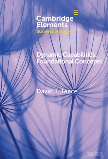 David J. Teece - Dynamic Capabilities, E-bok