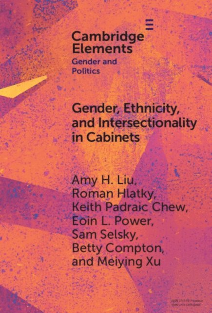 Meiying Xu, Betty Compton, Sam Selsky, Eoin L. Power, Keith Padraic Chew, Roman Hlatky, Amy H. Liu - Gender, Ethnicity, and Intersectionality in Cabinets, E-bok