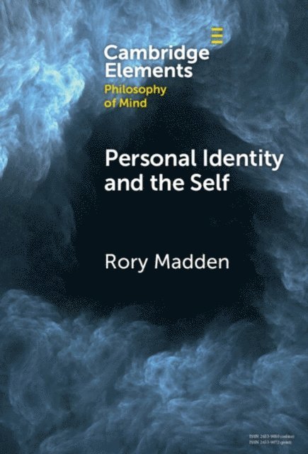 Rory Madden - Personal Identity and the Self, E-bok